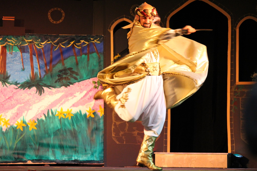 Carassauga 2011