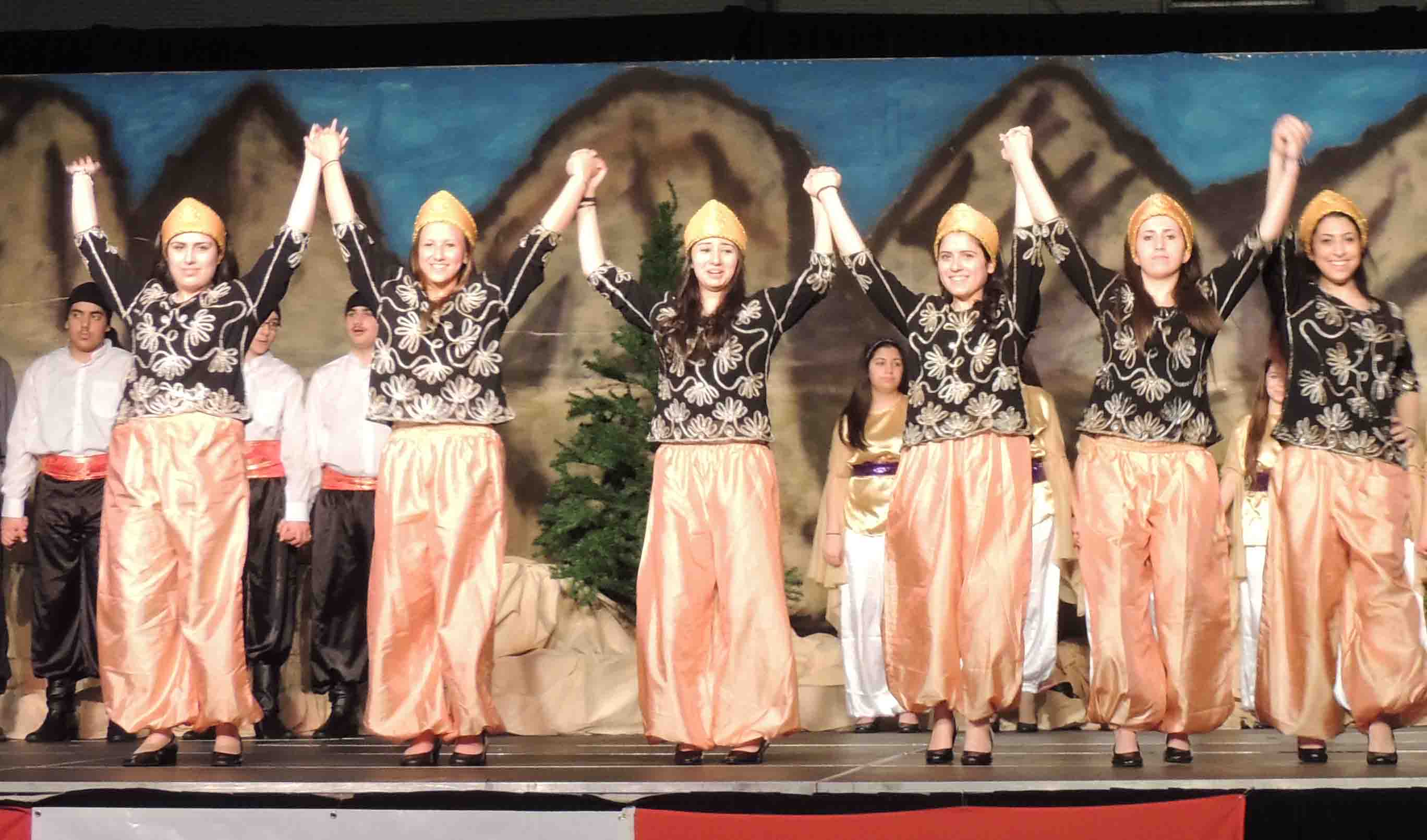 Carassauga 2014